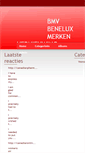 Mobile Screenshot of bmvbeneluxmerkenvernieuwing.nl